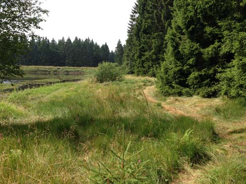 FKK in ClausthalZellerfeld Zankwieser Teich Impressionen